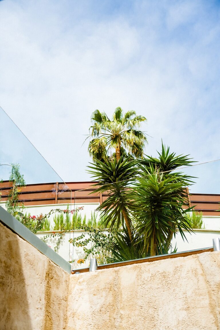 Garden_